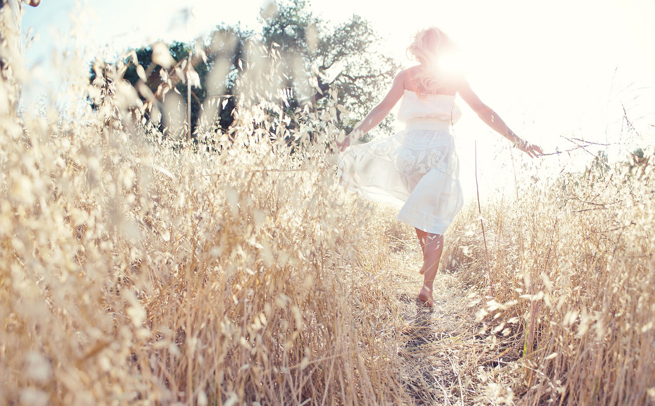 Wheat field