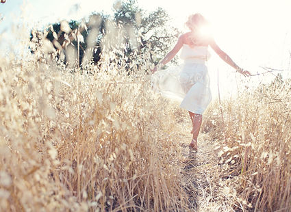 Wheat field