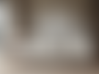 Exploring Anna's Designs Services in Boca Raton