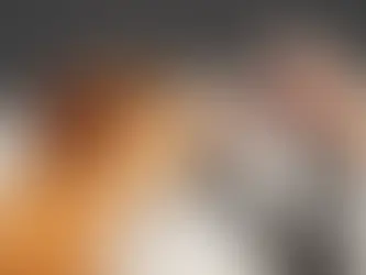 The Ultimate Guide to CBD for Dogs & Cats: