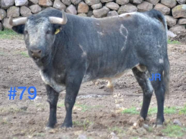 ree