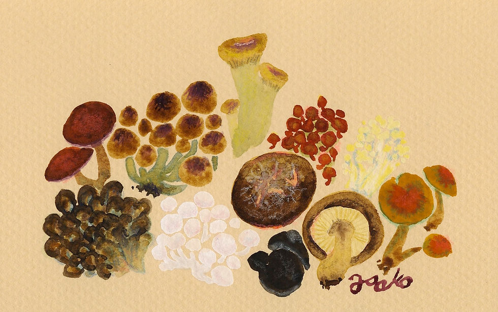mushrooms