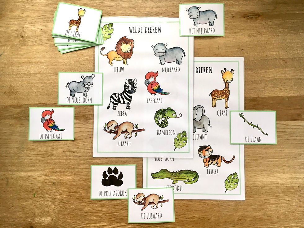 Thumbnail: Ontdekhoek: Wilde dieren