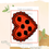 Thumbnail: De praline bundel