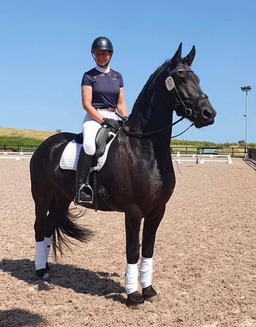 Purebred Friesian gelding Achilles FS born here at Friesians Scotland, pictured at dressage with his owner and trainer Sarah.
