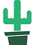 cactusblanclesempotées.jpg