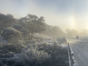 A Cold Morning Begins