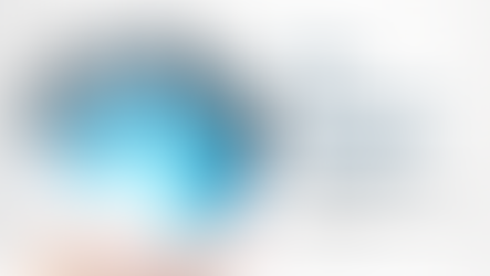 The Flourish Bulletin November 2022