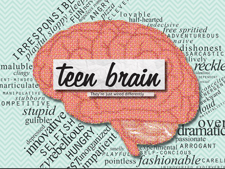 Teenage Brain 