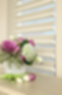 St. Louis window treatments