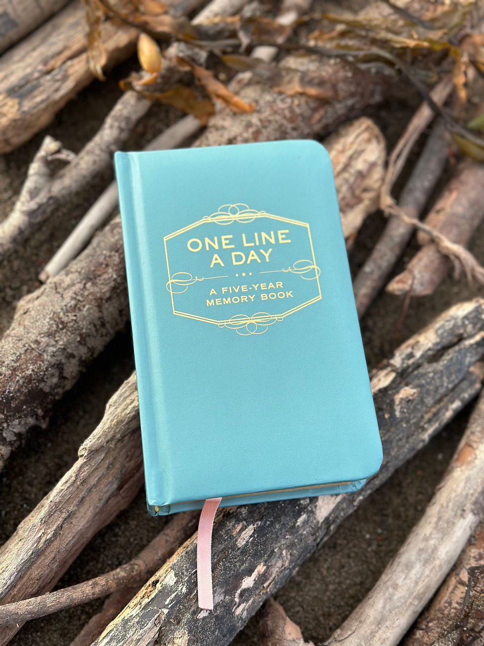 One Line a Day Journal | Home Arts by the Sea