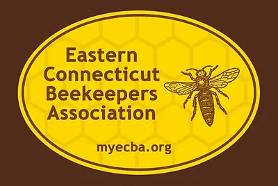 ECBA.webp