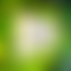 The Nest at The Thompson Hotel