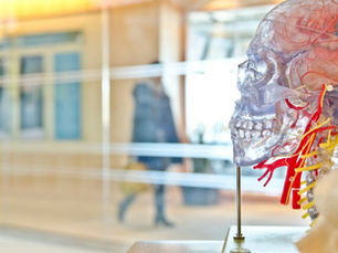 Why Should We Care About Emotional Intelligence?