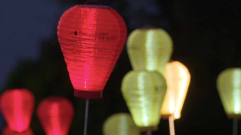 Light The Night Grand Rapids