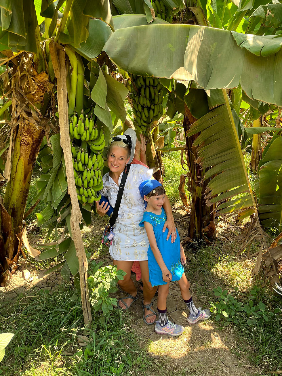 Miniatura: Tour de 8 días por Egipto.