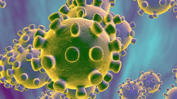 coronavirus.jpg