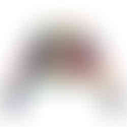 Long Sleeve VI Madras Crop Top  Women’s fitted long sleeve top in Virgin Islands madras print