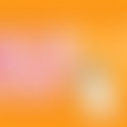 A Step-by-Step Guide to Creating an Engaging Blog Post with the Wix Studio Owner App 2024