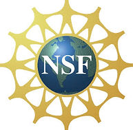 NSF Image to