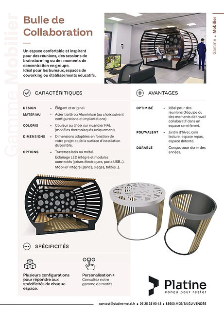 PLATINE_FichesProduits_BulleCollab_HD_page-0002.jpg