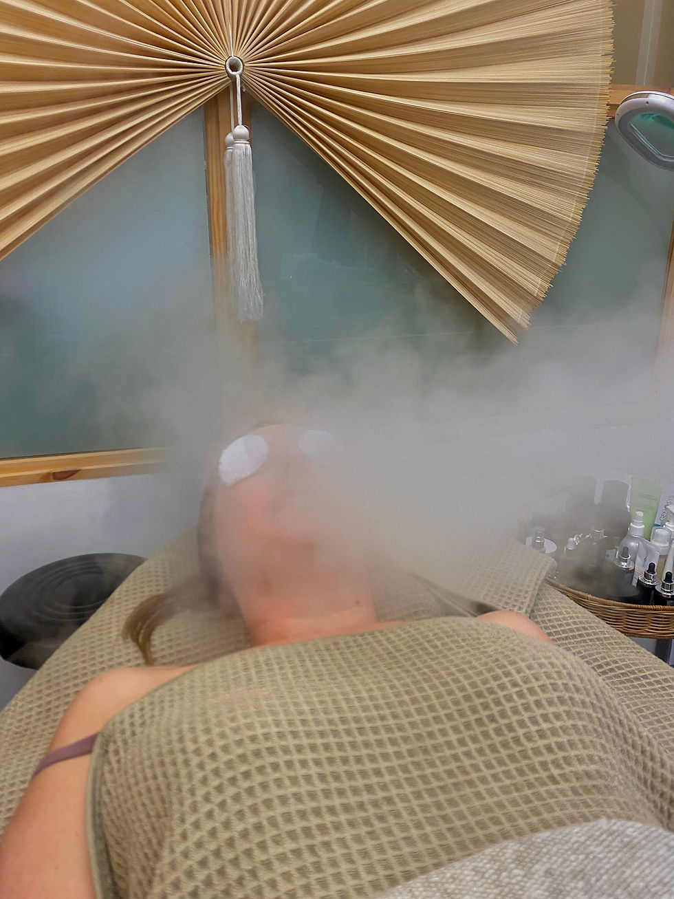 Facial steam