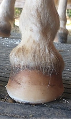Picture2.jpg