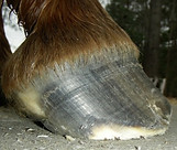 Picture21.jpg