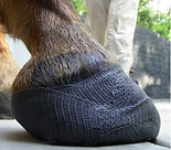 Picture20.jpg