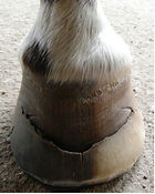 Picture25.jpg
