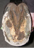 Picture22.jpg
