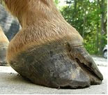 Picture19.jpg