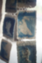 Close-up of Nicole Bartnikowski’s Foraging Through Roots (2025), Photograph by Jealyn Mc, courtesy of Jac Clayton.