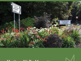 Sunday, 24th August, 2:30PM-3:30PM. Beckett Green, Foxrock Village.