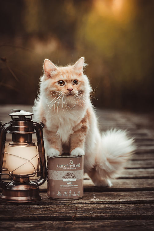Asmani CATZFINEFOOD.jpg