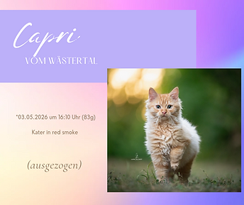 Capri.png