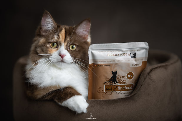 Lillet X CatzFinefood