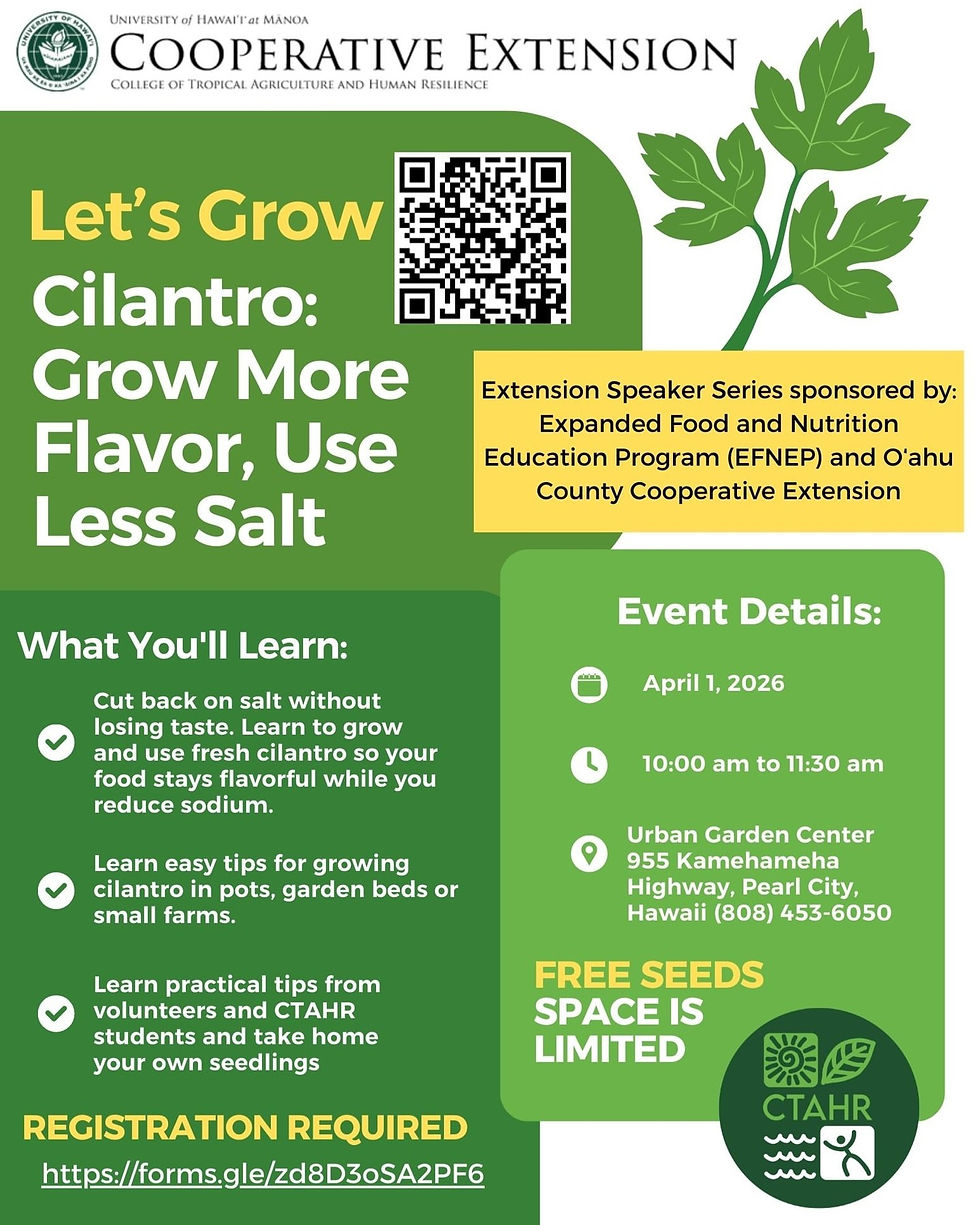 Letʻs Grow Cilantro; Grow More Flavor, Use Less Salt