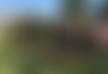 Les jeunes en nombre sur les Run & Bike et Cross-Duathlon du HTT. Coach Arslan finisher à Roth !