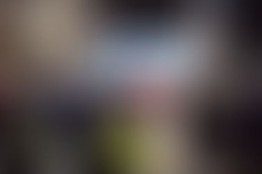 Trail Nocturne de Noël : 848 participants !