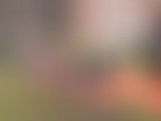 Régionaux de Cross et Meeting FFN de Nice.