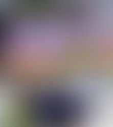 Les jeunes à l'honneur aux France des Ligues à Embrun. Audric confirme à La Ferté-Bernard.