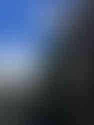 神社の屋根に覆いかぶさるように傾いたヒノキの伐採後 。京都市街と山並みが背景に見える