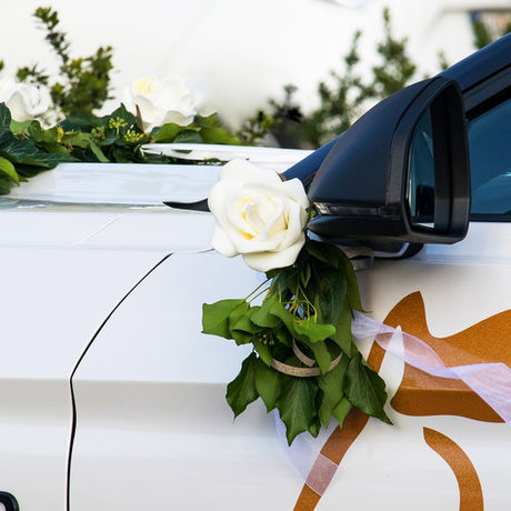 Gelin Arabası Yazıları