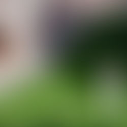 En iyi düğün nasıl planlanır?