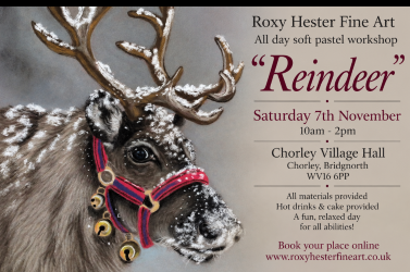 7th November (saturday) Winter reindeer workshop in person
