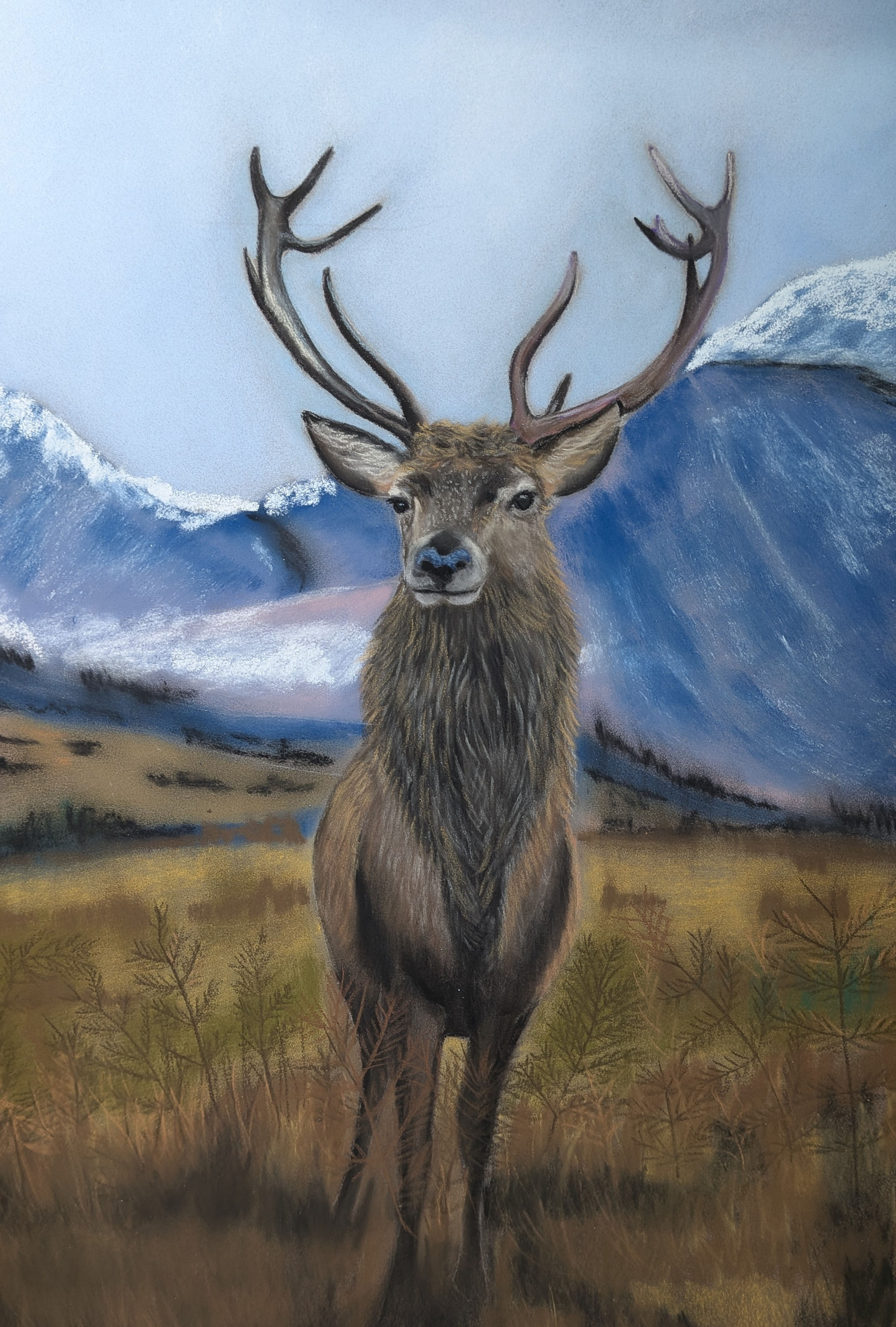 ALL DAY WORKSHOP - Stag