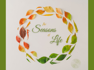 The Seasons of Life & The Effervescent Energy of Spring