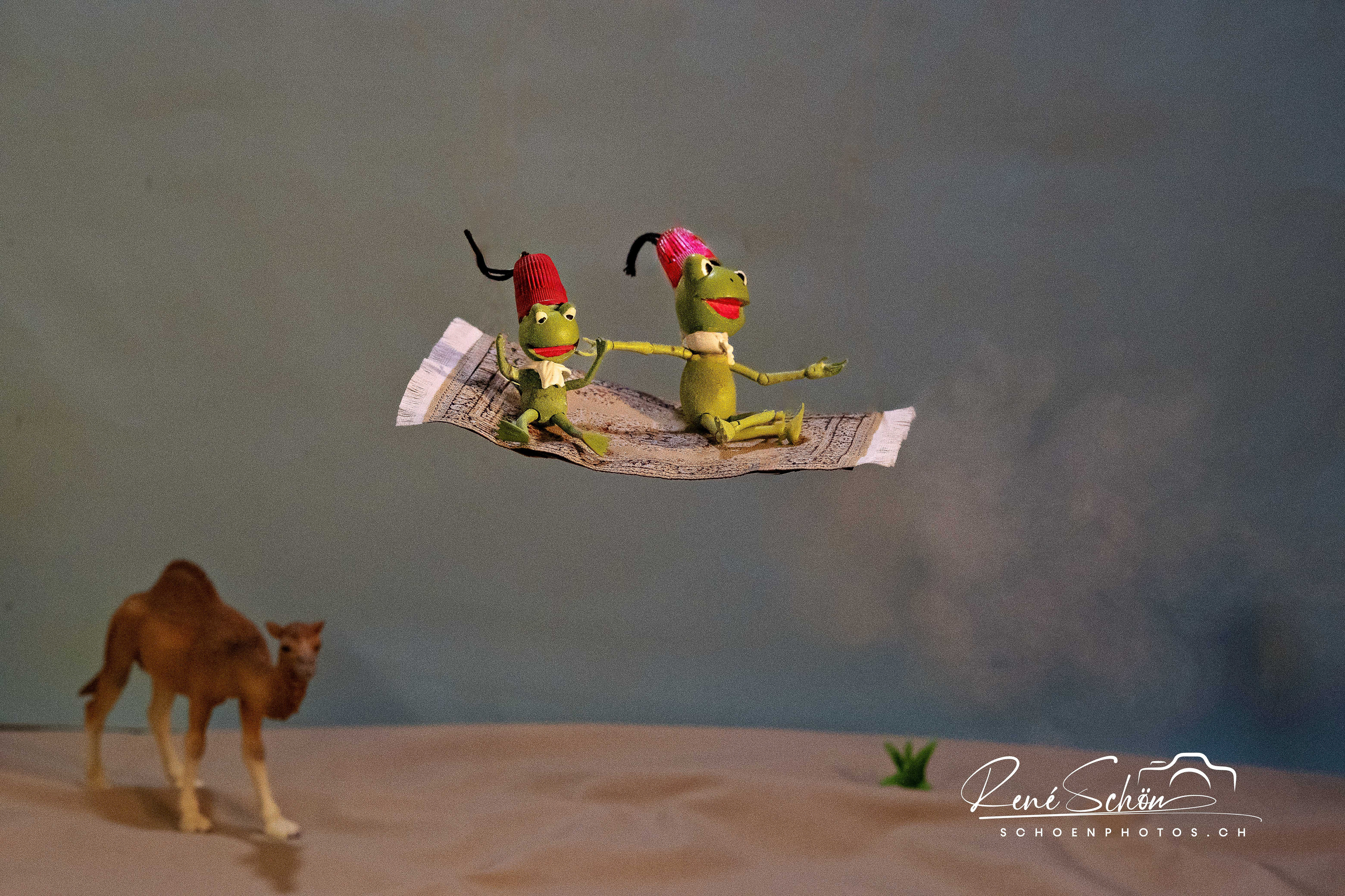 THE FLYING CARPET