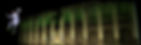 HEINEKEN | MUNCHEN